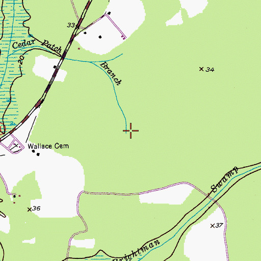 Topographic Map of Cedar Patch Branch, SC