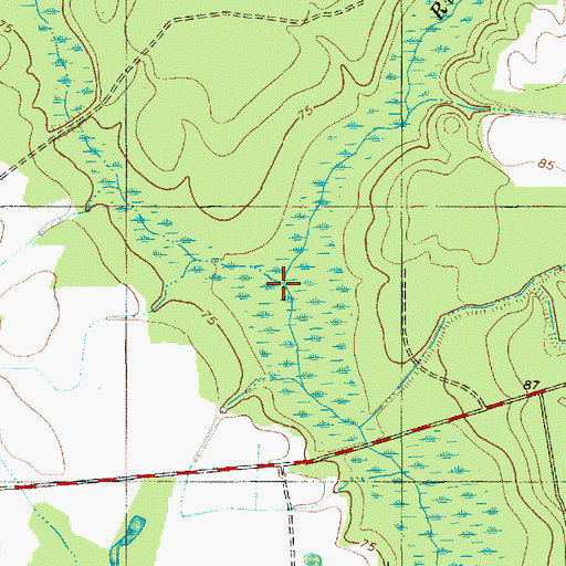 Topographic Map of Cedar Swamp, SC