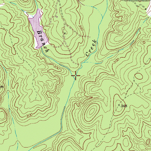 Topographic Map of Chappel Branch, SC