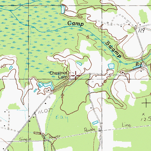 Topographic Map of Chestnut Cemetery, SC