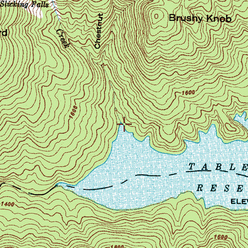 Topographic Map of Chestnut Cove, SC