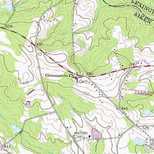 Topographic Map of Chinquapin Church, SC