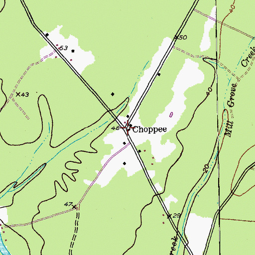 Topographic Map of Choppee, SC