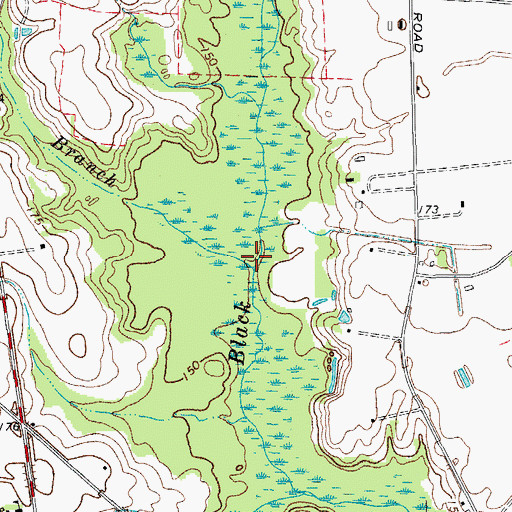 Topographic Map of Meadow Branch, SC
