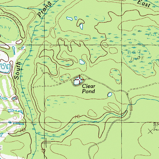 Topographic Map of Clear Pond, SC