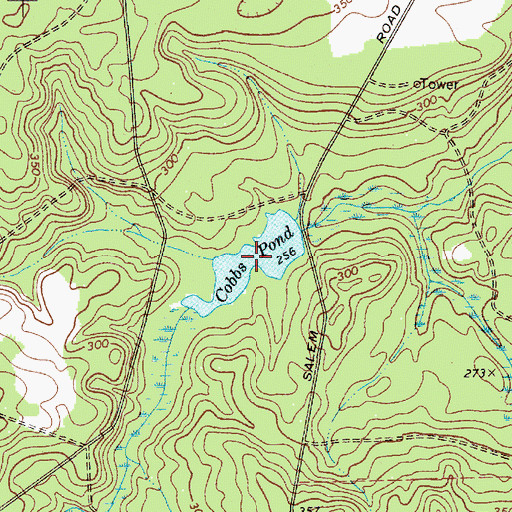Topographic Map of Cobbs Pond, SC