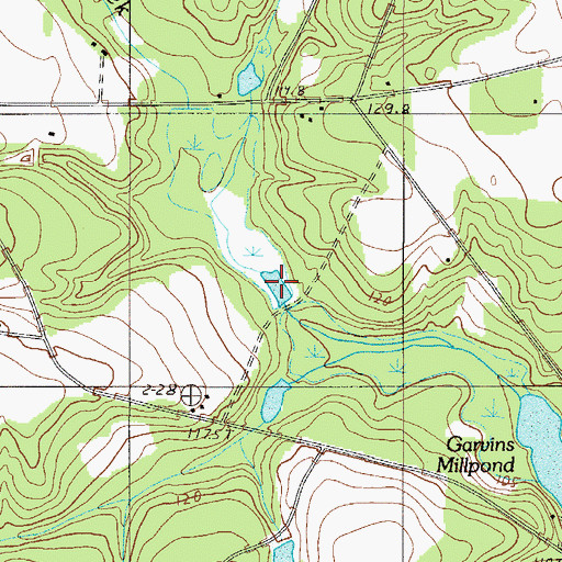Topographic Map of Cofer Pond, SC