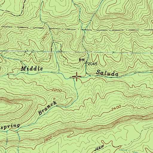 Topographic Map of Coldspring Branch, SC