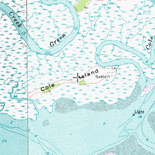 Topographic Map of Cole Island, SC