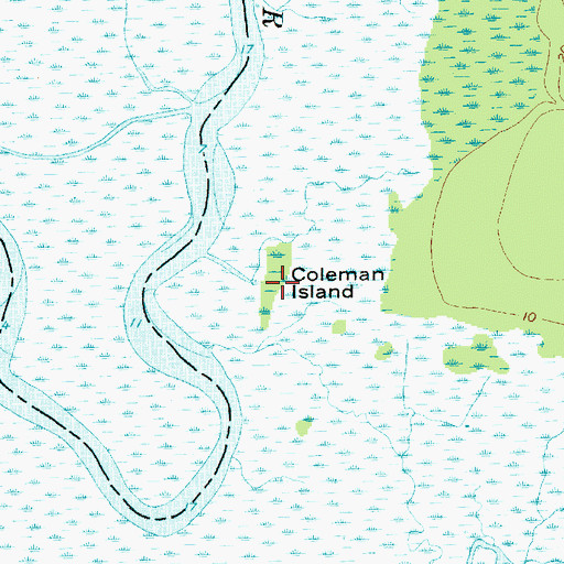 Topographic Map of Coleman Island, SC