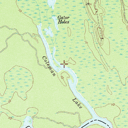 Topographic Map of Coleman Run, SC