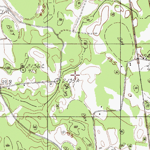 Topographic Map of Collier School, SC