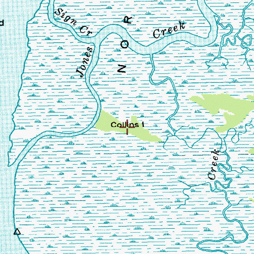 Topographic Map of Collins Island, SC