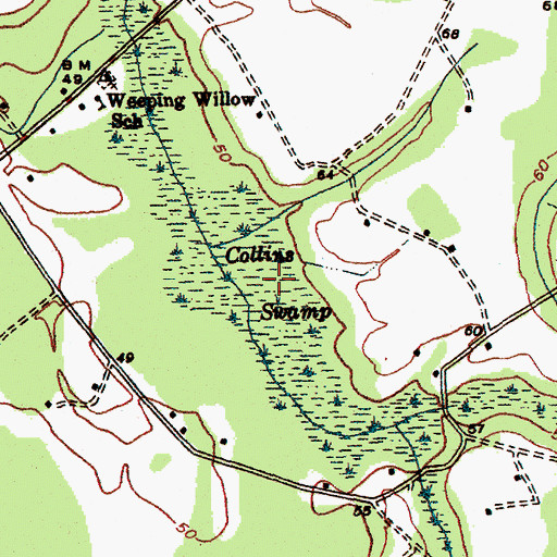 Topographic Map of Collins Swamp, SC