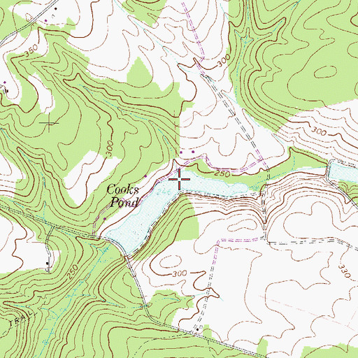 Topographic Map of Cooks Pond, SC