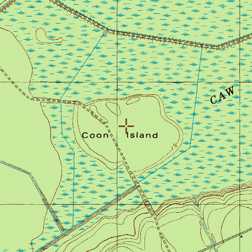 Topographic Map of Coon Island, SC