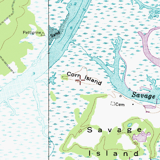 Topographic Map of Corn Island, SC