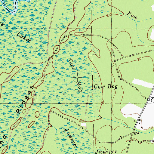 Topographic Map of Cow Bog, SC