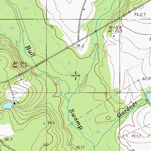 Topographic Map of Cow Branch, SC