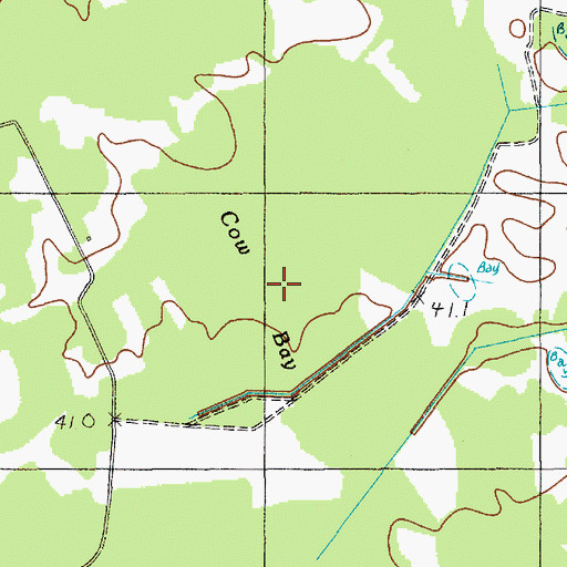 Topographic Map of Cowbay Swamp, SC