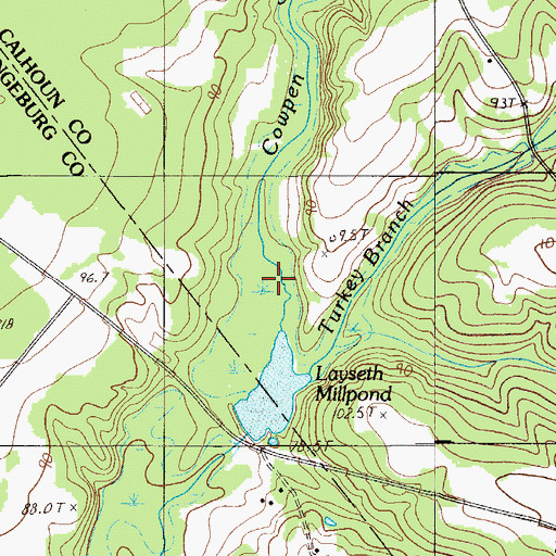 Topographic Map of Cowpen Swamp, SC