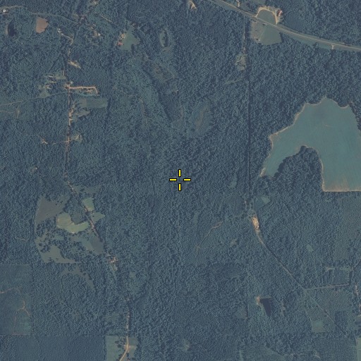 Aerial/Satellite Image of Mackey Branch, AL