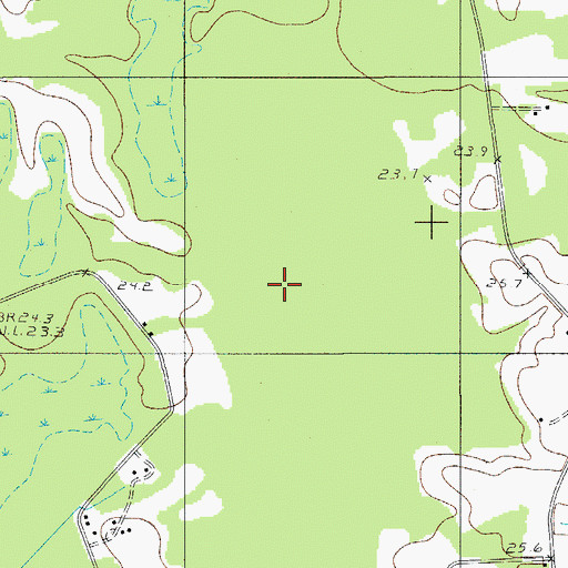 Topographic Map of Cross Swamp, SC