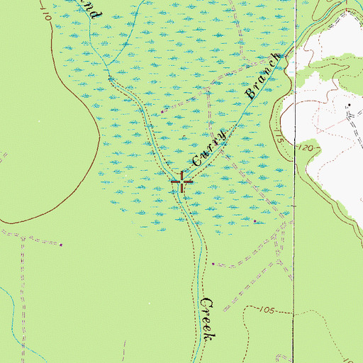 Topographic Map of Curry Branch, SC