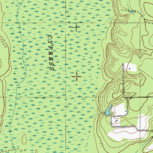 Topographic Map of Cypress Swamp, SC