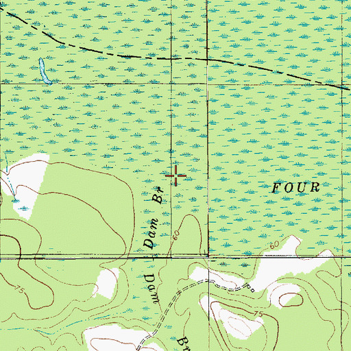 Topographic Map of Dam Branch, SC