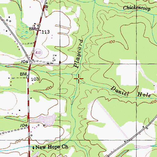 Topographic Map of Daniel Hole Branch, SC