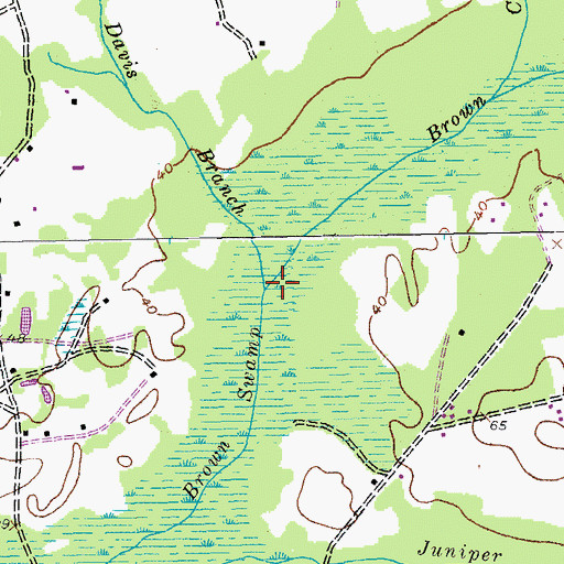 Topographic Map of Davis Branch, SC