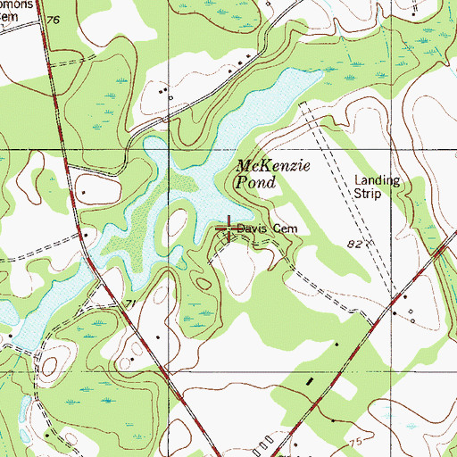 Topographic Map of Davis Cemetery, SC