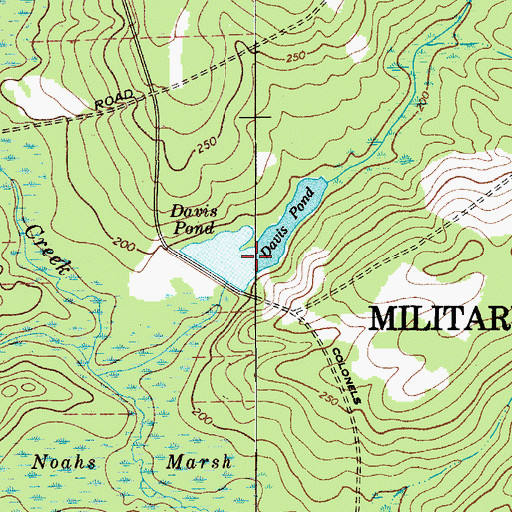 Topographic Map of Davis Pond, SC