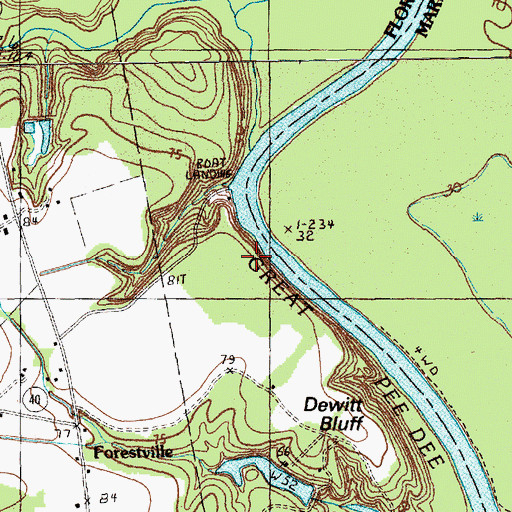 Topographic Map of DeWitt Bluff, SC