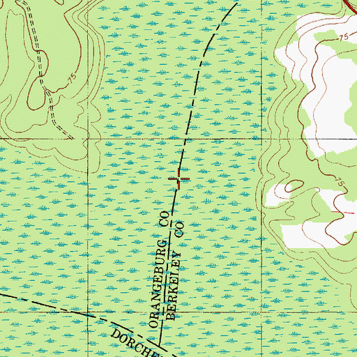 Topographic Map of Dean Swamp, SC