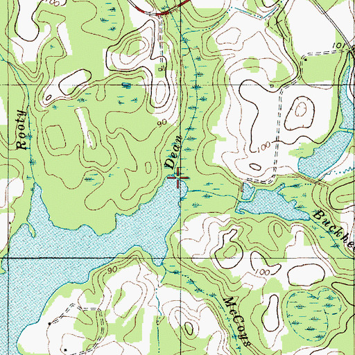 Topographic Map of Dean Swamp, SC