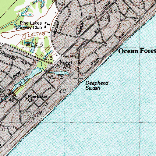 Topographic Map of Deephead Swash, SC