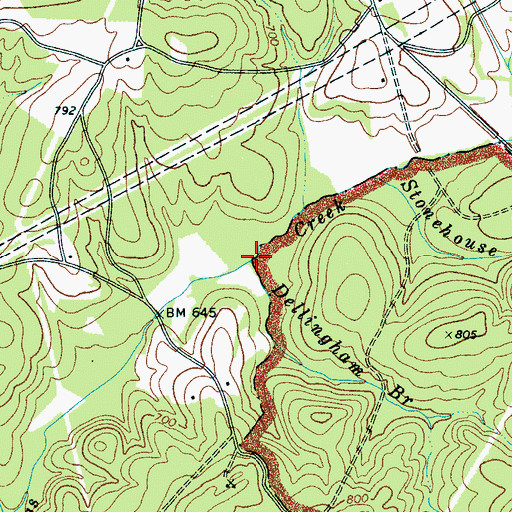 Topographic Map of Dellingham Branch, SC