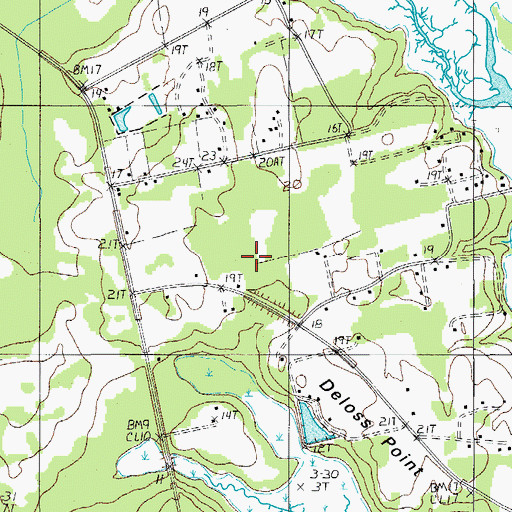 Topographic Map of Deloss Point, SC