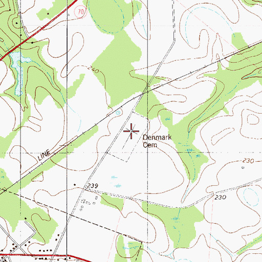 Topographic Map of Denmark Cemetery, SC