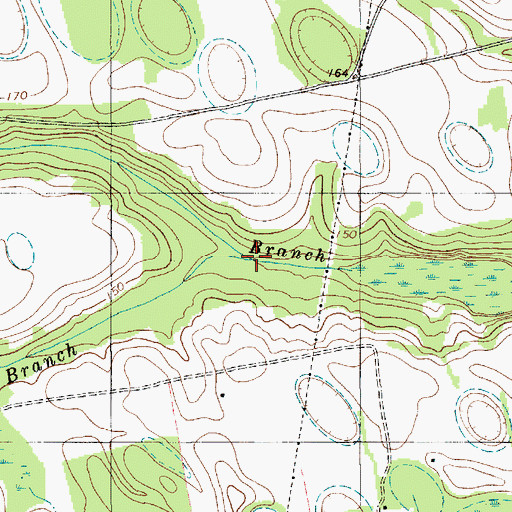 Topographic Map of Des Champs Branch, SC