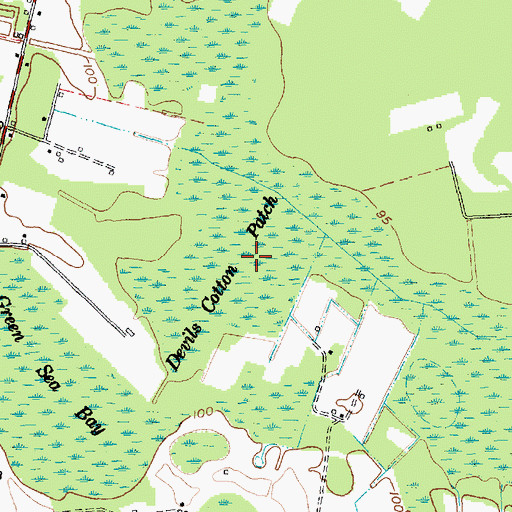 Topographic Map of Devils Cotton Patch, SC