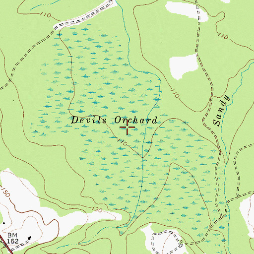 Topographic Map of Devils Orchard, SC