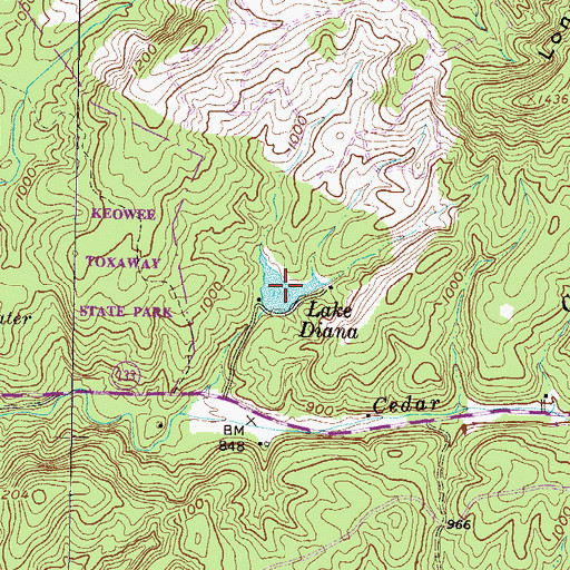 Topographic Map of Lake Diana, SC