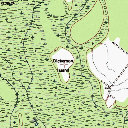 Topographic Map of Dickerson Island, SC