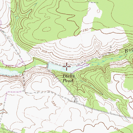 Topographic Map of Dicks Pond, SC