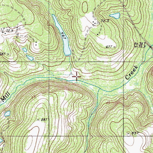 Topographic Map of Dicks Swamp, SC