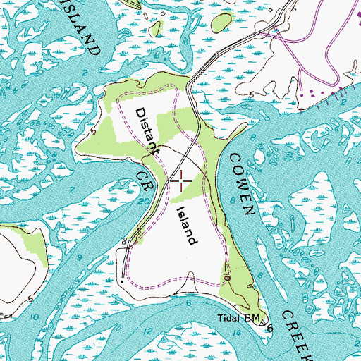 Topographic Map of Distant Island, SC