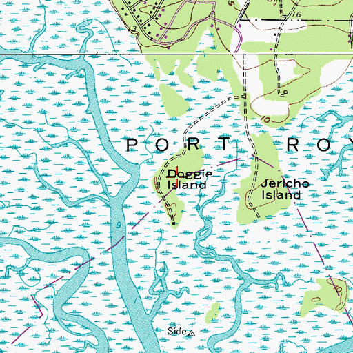 Topographic Map of Doggie Island, SC